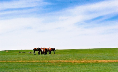 春天里的内蒙古大草原图片