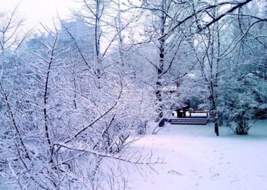 漂亮的冬季雪景唯美摄影图片
