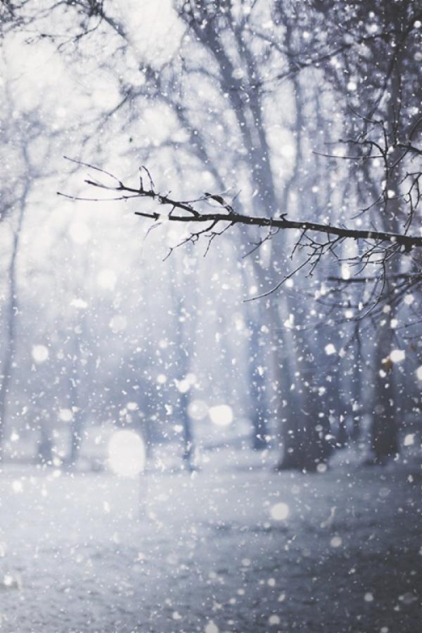唯美浪漫的冬天雪景图片大全