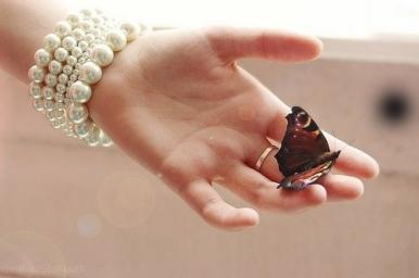 漂亮的唯美意境彩色蝴蝶图片