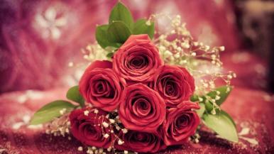 小清新漂亮鲜艳的玫瑰花图片