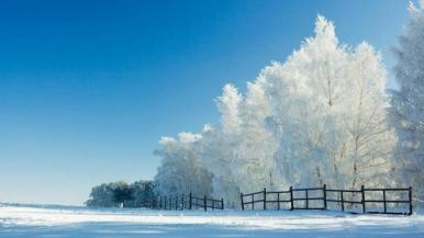浪漫唯美2018冬季唯美雪景图片