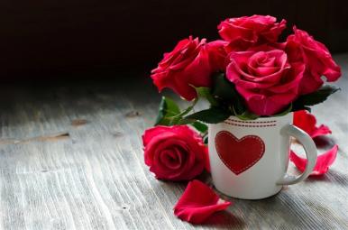 漂亮而美丽的唯美玫瑰花图片