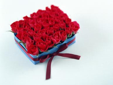 情人节女友情人必送的玫瑰花图片大全